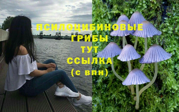 ГАЛЛЮЦИНОГЕННЫЕ ГРИБЫ Володарск