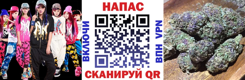 Канабис план  дарк нет состав  Кизилюрт  наркотики 